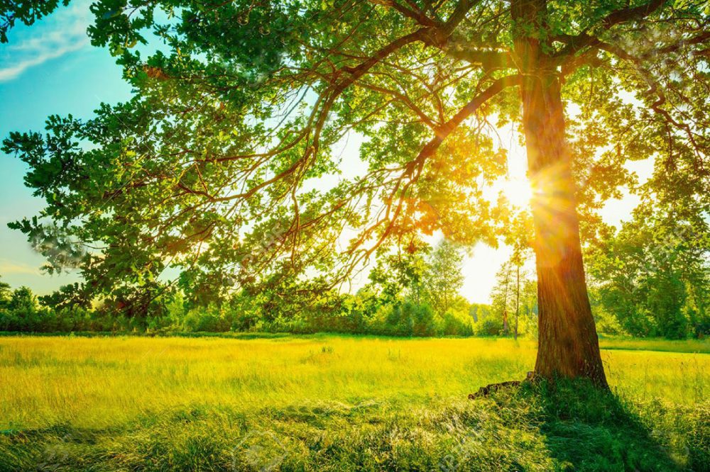 Καλή δύναμη και καλό κουράγιο σε όλους